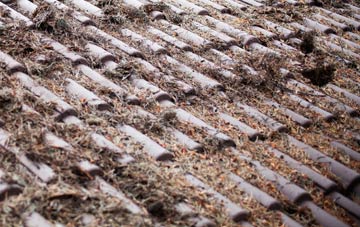 Whittle Le Woods roof cleaning companies