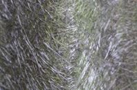 Whittle Le Woods fibreglass roof work